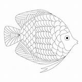 Coloring Pages Fish Daily Doodle Printable Adult Butterfly Tilapia Pdf Getcolorings Rainy Book Sheets Click Freebies Getdrawings Drawing Popular Colouring sketch template