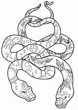 Coloring Snakes Pages Two Cool Snake Adult Print Animals Coloringbay Popular sketch template