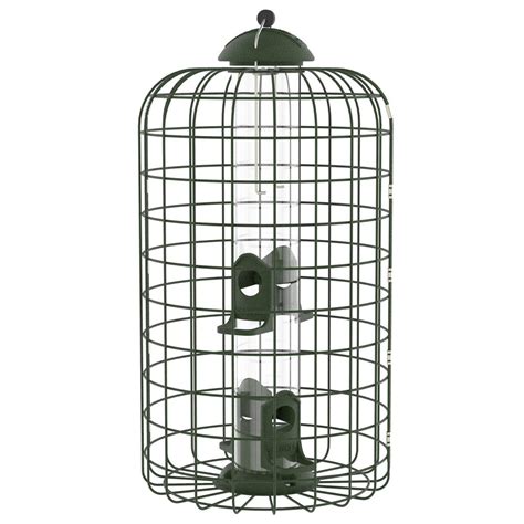 cage anti ecureuil squirrel  nourriture pour oiseaux armstrong