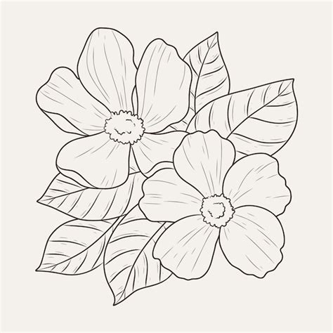 vector hand drawn flat design simple flower outline