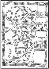 Maze Ants Mazes Fourmis sketch template