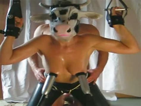 milking a slut dressed as a cow