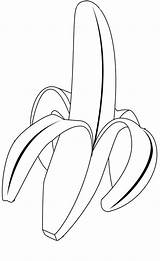 Banana Coloring Pages Kids Color Tropical Colouring Print Drawing Fruits Delicious Fruit Leaf Printable Bananas Kidsplaycolor Getdrawings Wreck Printables Popular sketch template