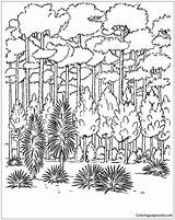 Forest Trees Coloring Pages Color Nature Adults Printable Kids Seasons Getdrawings Getcolorings Coloringpagesonly sketch template