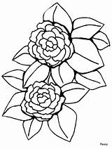 Coloring Pages Flowers Flower Peony Printable Realistic Print Outline Simple Color Cartoon Camellia Clipart Becuo Sheets Coloringpagebook Book Coloringhome Popular sketch template