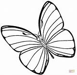 Butterfly Coloring Easter Pages Butterflies Clipart Online Printable Color sketch template
