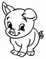Colorat Animale Planse Copii Porcul Fise Porc sketch template