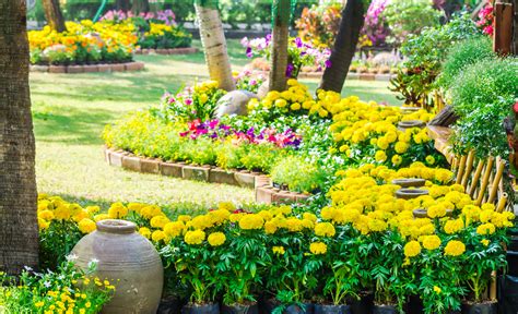 Flowers In The Garden On Summer Landscaped Flower Garden With Lots Of