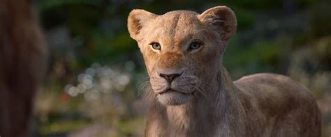 beyoncé shared a new lion king trailer focused on nala and simba the beat