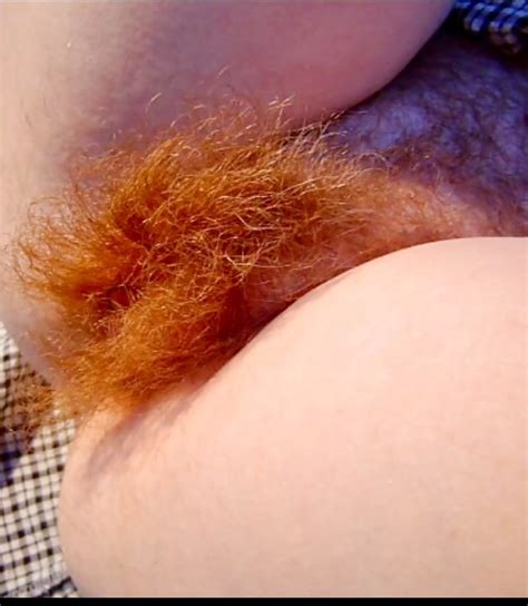 very hairy bush 3 9 pics xhamster