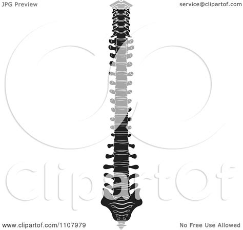 Clipart Black And White Human Spine 2 Royalty Free