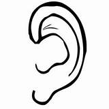 Ear Coloring Pages Right Drawing Left Sharp Keep sketch template
