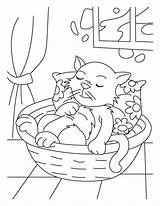 Dreamland Coloring Pages Cat Kids Bestcoloringpages sketch template