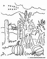 Coloring Fall Pages Scenery Scene Autumn Farm Corn Drawing Stalks Colouring Color Sheet Getdrawings Beautiful Getcolorings Printable Arrived Just sketch template