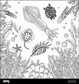 Coloring Underwater Antistress Malvorlage Seaweed Squid Unterwassertiere Ausmalen Malvorlagen Unterwasser Reef Fische Algen Malvorlagan Fisch Tintenfisch sketch template