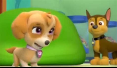Image Chase And Skye 12  Paw Patrol Fanon Wiki Fandom Powered