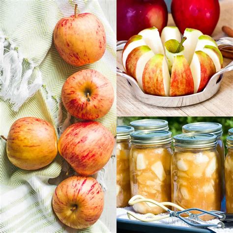canning easy apple pie filling recipe  pies crisps  pancakes