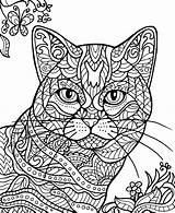 Cat Coloring Book Adult Pages Cats Will Illustrations Take Find Look Some Beautiful sketch template