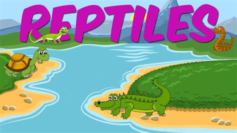 reptiles learn  animals  kids youtube