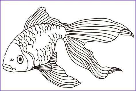 unique   realistic fish coloring pages raskraski dlya
