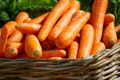 inilah manfaat herbal sayuran wortel  kesehatan