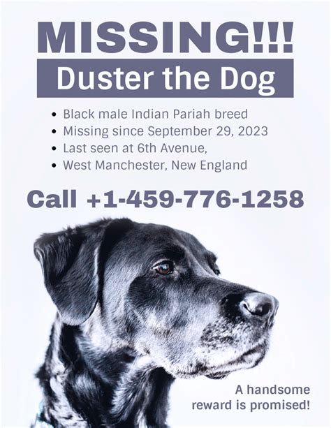 missing dog flyer  poster template printable lost dog pet flyer