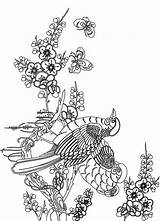 Coloring Pages Advanced Adult Book Adults Flowers Bird Books Colouring Birds Flower Printable Print Pdf sketch template