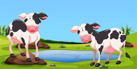 Two Cows Standing In Farmyard 301398 Download Free