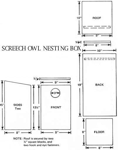 screech owl box plans owl nesting bird house plans bird house feeder