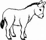 Donkey Coloring Pages Drawing Donkeys Mule Line Male Cute Color Colouring Printable Kobe Drawings Bryant Getdrawings Balaams Getcolorings Online Horse sketch template