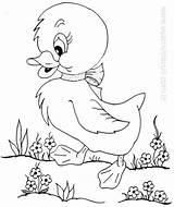 Coloring Pages Para Easter Cartoon Ak0 Cache Embroidery Patterns Visitar sketch template