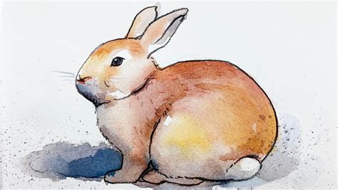 relaxing watercolor   draw  paint  rabbit  beginners