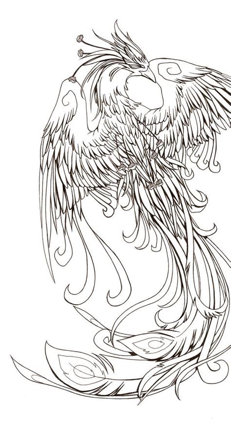 phoenix phoenix tattoo phoenix tattoo design bird coloring pages