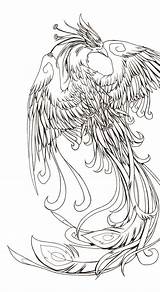 Phoenix Tattoo Fenice Fenix Coloring Pages Ave Outline Drawing Tatuaje Bird Designs Color Japanese Tattoos Fénix Tatouage Tatuajes Per Disegni sketch template