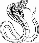 Serpent Cobra Imprimer Imprimé sketch template