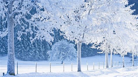 snowy backgrounds  images