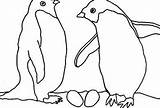 Penguin Adelie Designlooter 38kb 230px sketch template