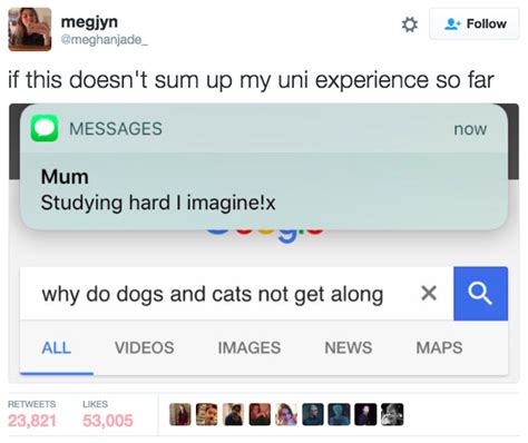 18 Hilarious Tweets About Being A Human Disaster That Are