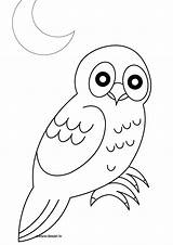 Coloring Owl Pages Chouette Naaman Dessin Owls Coloriage Worksheets Preschool Printable Printed Ready Cute Kids Popular sketch template