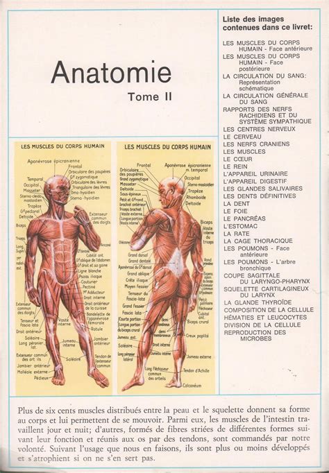 lecons de choses documentation scolaire  anatomie humaine ii