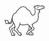 Coloring Camel Kids Printable Cartoon Pages Templates Animal 4kids Craft sketch template