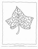 Coloring Blatt Leaf Letzte sketch template