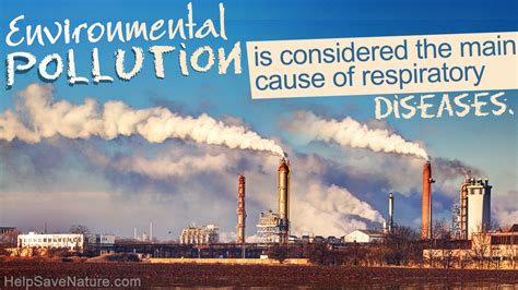 effects  environmental pollution