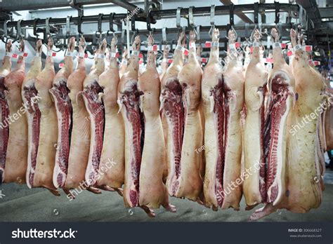 carcass pig images stock  vectors shutterstock