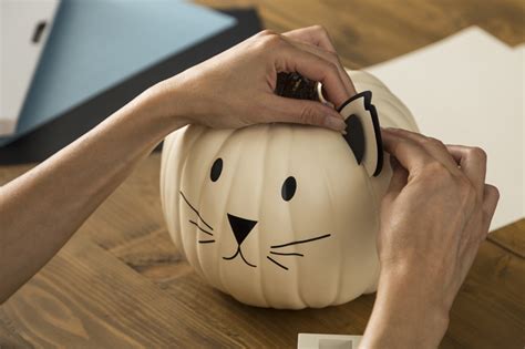 no carve pumpkin idea cat pumpkin cricut