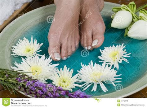 lotus flower aromatherapy spa  feet stock photo image  feet