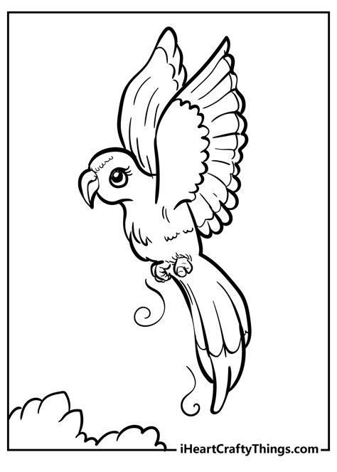 types  birds coloring pages