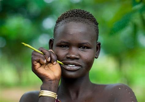 beautiful bodi girl from ethiopia`s omo valley with her gima chewing stick hana south ethiopia