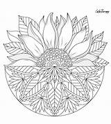 Coloring Pages Sunflower Flower Color Madala Mandala Flowers Printable Abstract Sheets Sunflowers Adult Therapy App Popular Choose Board sketch template