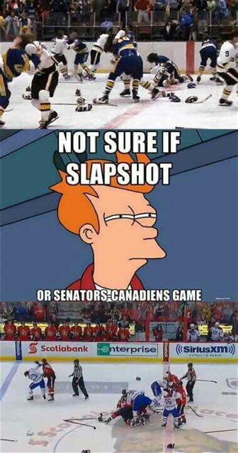 17 Best Images About Hockey Memes On Pinterest Funny